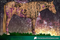 Horse Color:ERROR: UNKNOWN ANOMALY Brindle