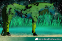 Horse Color:ERROR: UNKNOWN ANOMALY