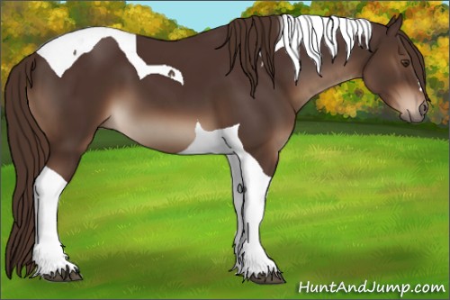 Horse Color:Liver Chestnut Tobiano 