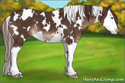 Horse Color:White Spotted Liver Chestnut Splash 