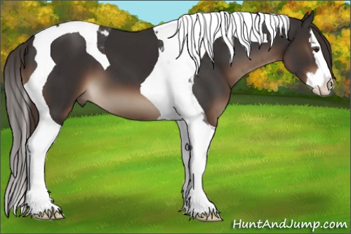Horse Color:Liver Chestnut Splash Tobiano 