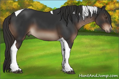 Horse Color:Liver Chestnut Tobiano 