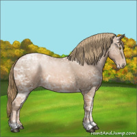 Horse Color:Liver Chestnut Ice Pearl 