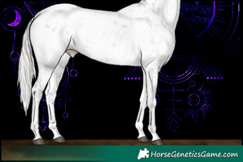 Horse Color:Silver Black Pearl Sabino 