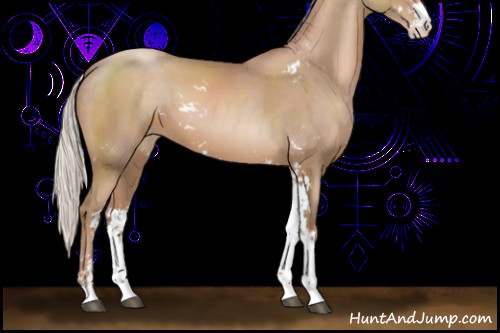 Horse Color:Silver Black Pearl Sabino 
