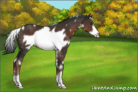 Horse Color:White Spotted Liver Chestnut Frame