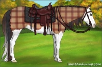 Horse Color:Plaid Bay Splash