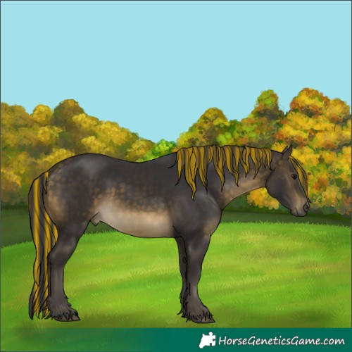 Horse Color:Painted Buckskin 