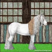 Horse Color:Liver Chestnut Sabino Varnish