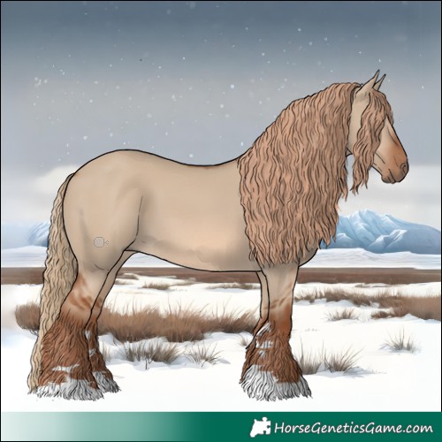 Horse Color:Red Dun 