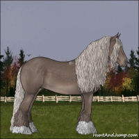 Horse Color:Silver Black 