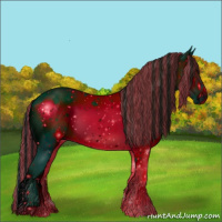 Horse Color:ERROR: UNKNOWN ANOMALY