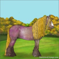 Horse Color:Painted Silver Grullo 