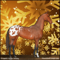 Horse Color:Bay Appaloosa