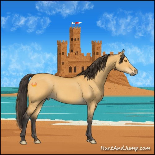 Horse Color:Buckskin Dun 