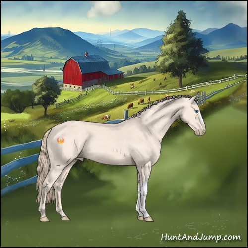 Horse Color:Perlino 