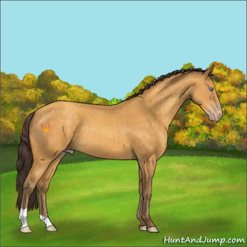 Horse Color:Amber Cream Champagne 