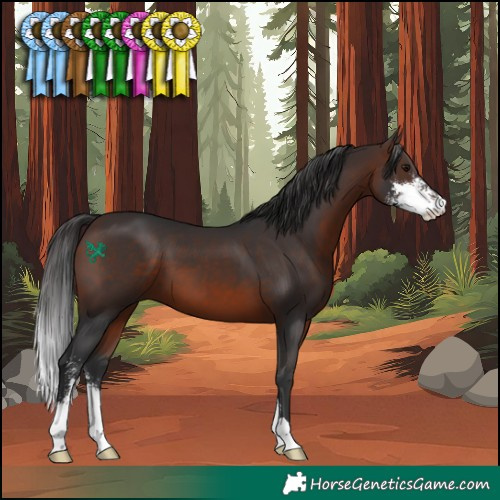 Horse Color:Brown Sabino