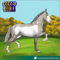 Horse Color:Silver Smoky Grullo Roan Frame