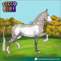 Horse Color:Silver Smoky Grullo Roan Frame