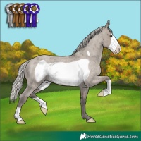 Horse Color:Silver Smoky Grullo Roan Frame 