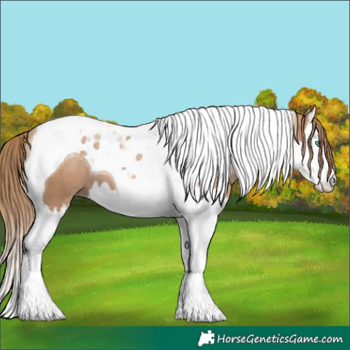 Horse Color:Black Pearl Splash Tobiano 