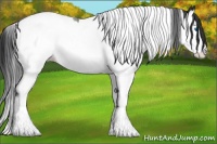 Horse Color:Black Splash Tobiano 