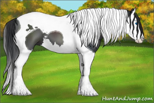 Horse Color:Black Splash Tobiano 