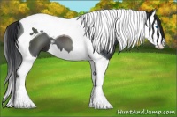 Horse Color:Black Splash Tobiano 