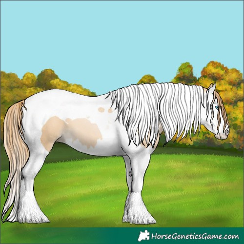 Horse Color:Smoky Black Pearl Splash Tobiano 