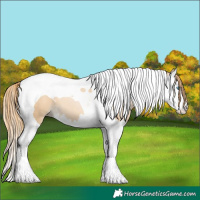 Horse Color:Smoky Black Pearl Splash Tobiano 