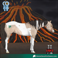 Horse Color:Bay Dun Tobiano 