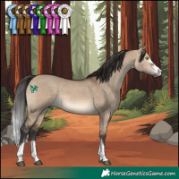 Horse Color:Brown Dun