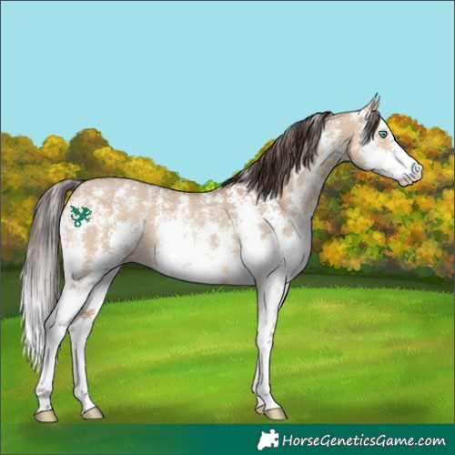 Horse Color:Amber Champagne Dun Sabino Rabicano 