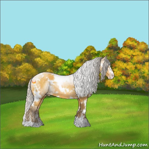 Horse Color:White Spotted Silver Amber Cream Champagne Sabino 