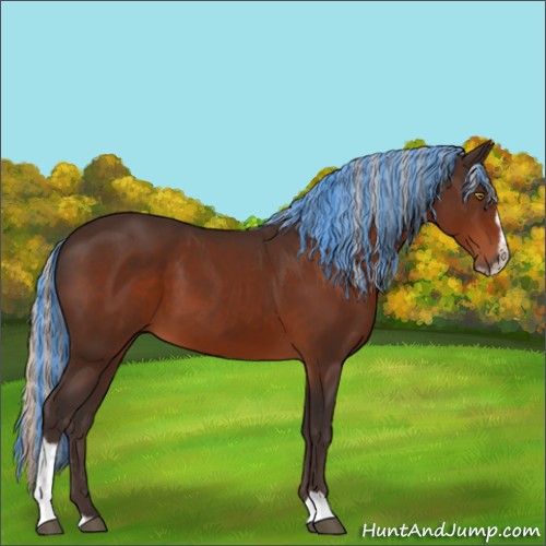 Horse Color:Painted Silver Brown Sabino
