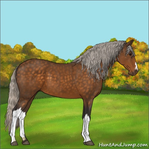 Horse Color:Silver Buckskin 