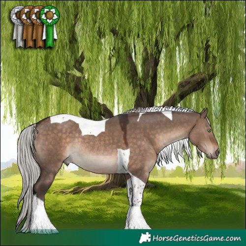 Horse Color:Silver Brown Dun Mushroom Tobiano Rabicano 