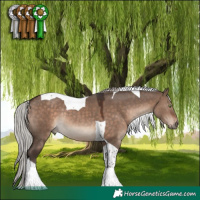 Horse Color:Silver Brown Dun Mushroom Tobiano Rabicano
