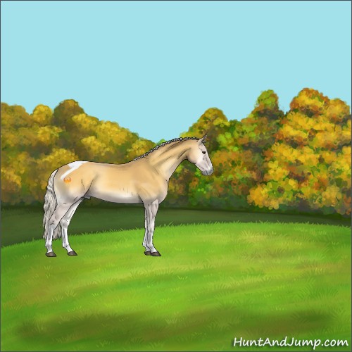 Horse Color:Silver Buckskin Onyx Tobiano 
