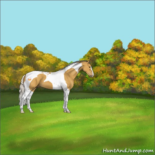 Horse Color:Silver Buckskin Tobiano 