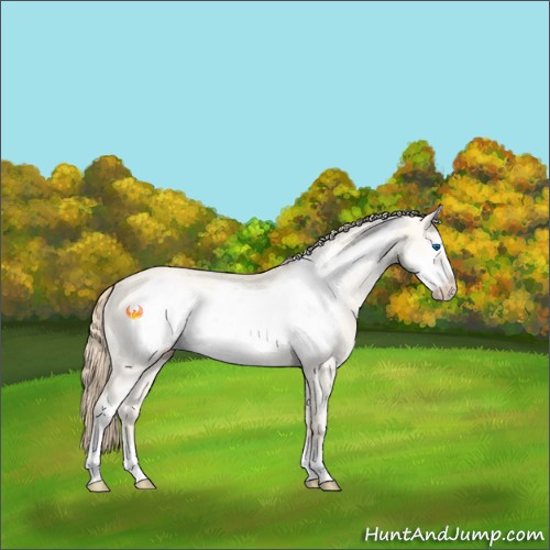 Horse Color:Perlino Dun Sabino Frame 