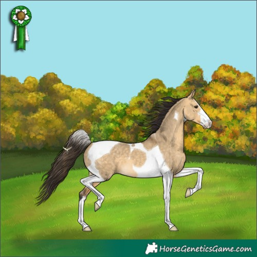 Horse Color:White Spotted Buckskin Dun Tobiano 