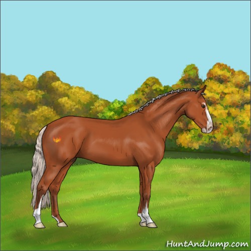 Horse Color:Silver Bay Sabino 