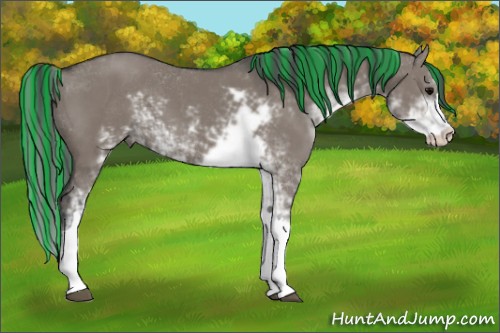 Horse Color:Painted Grullo Sabino 