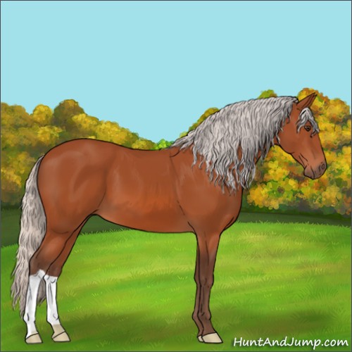 Horse Color:Silver Brown 