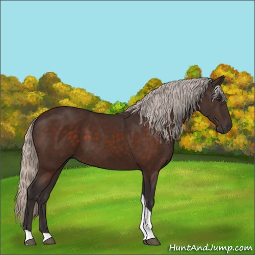 Horse Color:Silver Brown Tobiano 