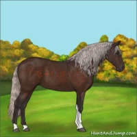 Horse Color:Silver Brown Tobiano