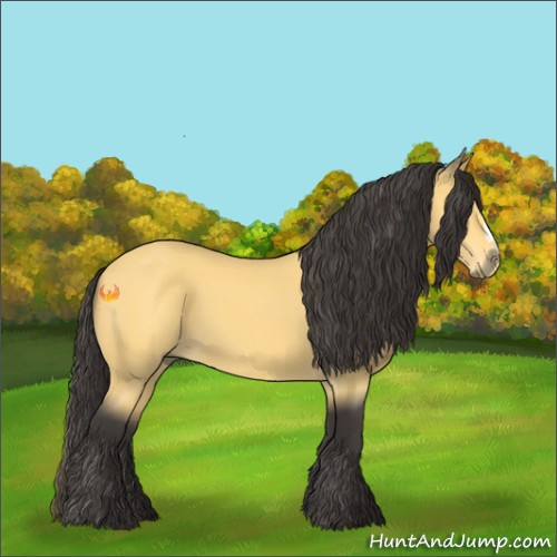 Horse Color:Buckskin 