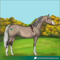Horse Color:Silver Brown Dun 